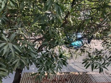Dijual rumah kosan aktif di jalan utama, pondok Pekayon indah.
