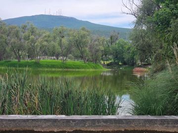 Terreno en Venta en El Encino, Querétaro| 247.42 m²
