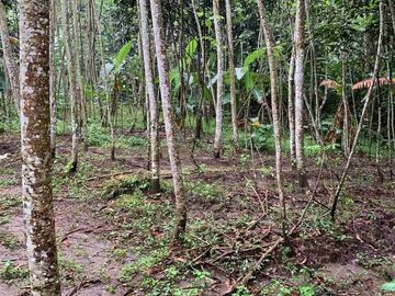 Tanah Pekarangan dekat RS dan sekolah politeknik
