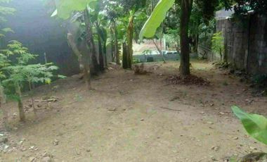 LOT FOR SALE IN MAPAYAPA VILLAGE III,QUEZON CITY