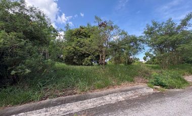 630sqm Residential Lot in Eastland Heights, Antipolo City Not Perimeter not tumbok
