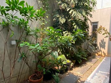 Dijual Rumah Sutera Jelita Alam Sutera 8x20