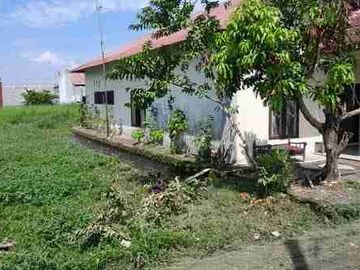 TANAH MARELAN