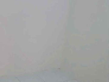 Rumah Bagus Dekat Ke Pintu Tol Colomadu