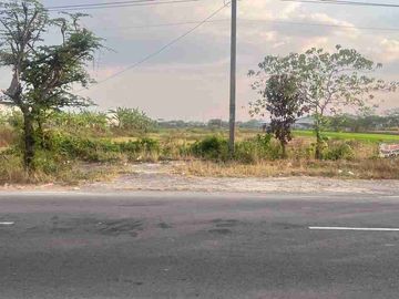 tanah lahan industri cocok untuk pabrik sudah perijinan lengkap tinggal bangun di ngrampal sragen Jawa Tengah