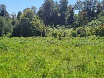 Parcela en Venta a Minutos del Lago Rupanco,  Lago Puyehue, Llanquihue y Puerto Octay