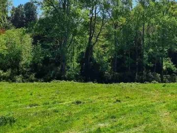 Parcela en Venta a Minutos del Lago Rupanco,  Lago Puyehue, Llanquihue y Puerto Octay