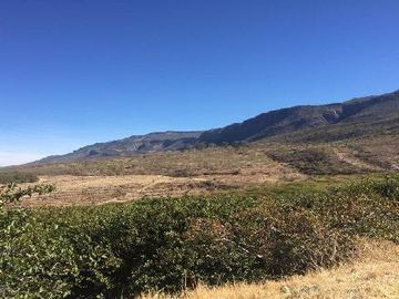 Rancho en Venta en Tabasco, Zacatecas, cuenta con 10 hectáreas