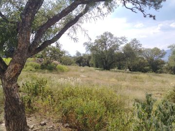 TERRENO EN VENTA DESDE 1,000 M² Y CON FACILIDADES DE PAGO, SANTIAGO CUAUTLALPAN