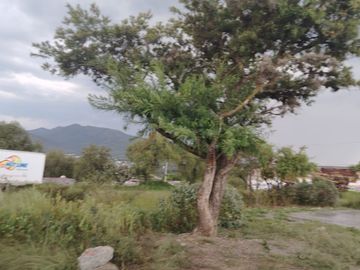 TERRENO EN VENTA DESDE 1,000 M² Y CON FACILIDADES DE PAGO, SANTIAGO CUAUTLALPAN