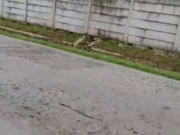 Tanah Super Murah Siap Bangun di Kawasan Industri Jatake Tangerang