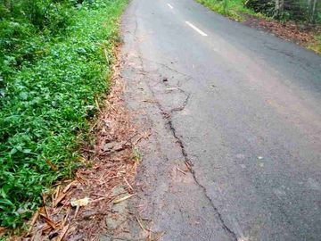 Tanah Murah 40 Hektar di Magelang