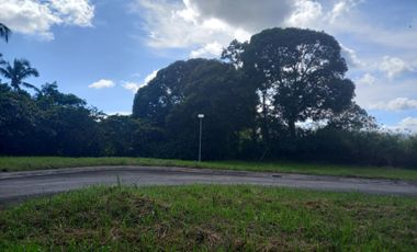 Residential Lot For Sale in Tropical Greens Subd in Tagaytay City-MC
