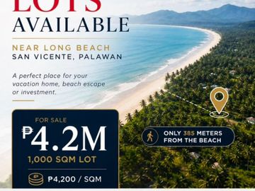 FOR SALE: Limited 1000 sqm Lots in San Vicente, Palawan