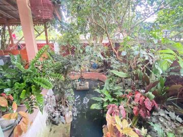 DIJUAL RUMAH DAN JOGLO KAYU JATI BARAT KAMPUS UII KALIURANG