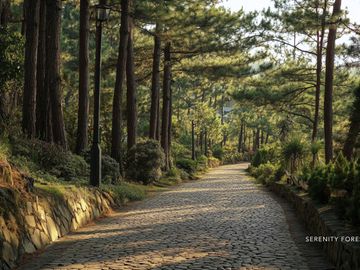 Premium Corner 1 Bedroom Unit w/ balcony for sale in Baguio City | walking distance to Mines View | 50.96 sqm | 18.7M all in Cash | No Down terms.