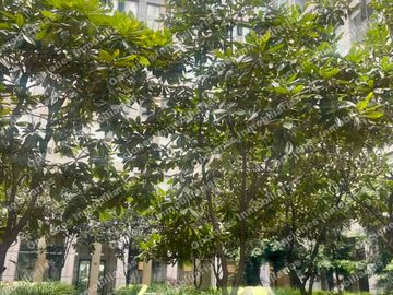 Magnífico depa amueblado en Puerta Alameda