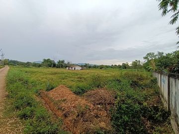 Land for Sale with Mountain View – Li District, Lamphun