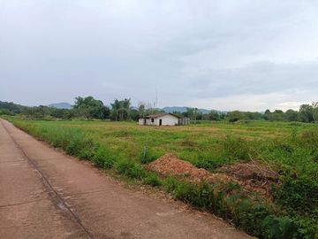 Land for Sale with Mountain View – Li District, Lamphun