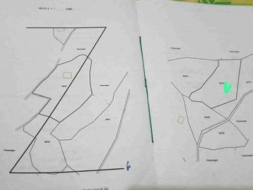 Tanah Murah di Kokap Kulon Progo