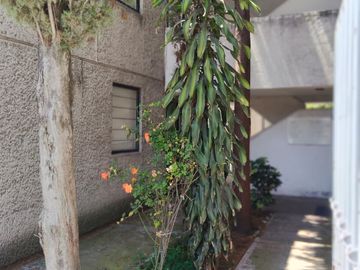 DEPARTAMENTO AMUEBLADO EN RENTA EN XILOTZINGO | 2 RECÁMARAS | A 10 MINUTOS CAMINANDO DE CU | $8,250