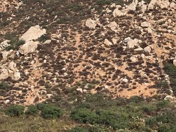 Terreno en Venta en Valle de Guadalupe, Ensenada