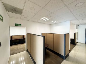 RENTA Local Workspace