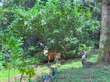 CASA CAMPESTRE EN VENTA – XALAPA ZONA EL HAYA $5,200,000