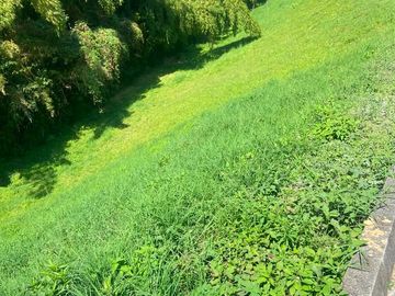 🏡 ¡Lote en venta en Condominio Campestre – Sector El Lembo, Santa Rosa de Cabal! 🌿