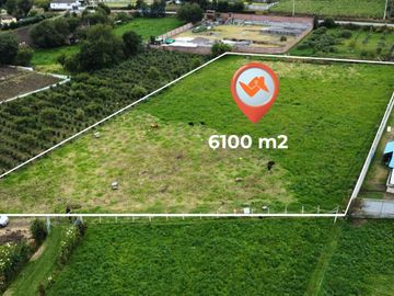 Terreno en Venta en Mocha / 6100 m² El Rosal| Plano y con Regadío