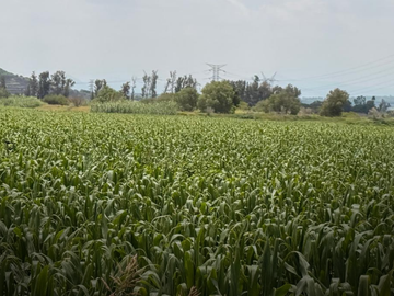 Terreno en Venta en Santo Domingo
