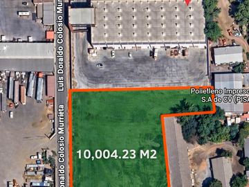 TERRENO EN RENTA 10,000M2