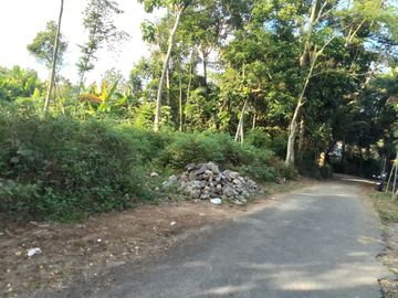 Tanah Lebar 22 meter, Cocok Untuk Kavling. di Tirtoadi Dekat Pasar Cebongan