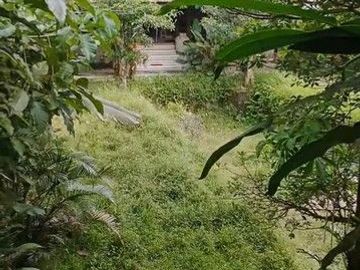 Ruang Usaha Joglo Untuk Kuliner di Dekat Sleman City Hall