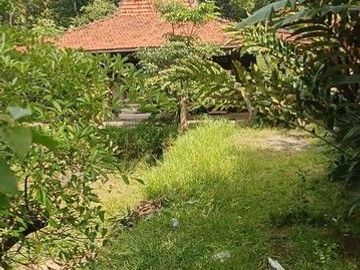 Ruang Usaha Joglo Untuk Kuliner di Dekat Sleman City Hall