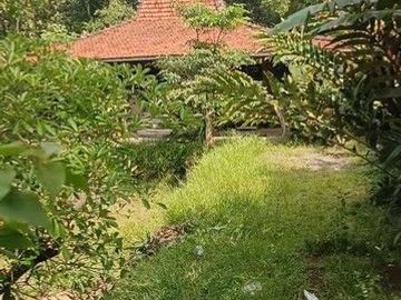 Ruang Usaha Joglo Untuk Kuliner di Dekat Sleman City Hall