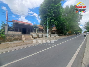 Disewakan Cafe dan Resto siap pakai di Banjarsari - Banyuwangi