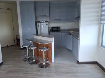 Condo for Rent - Robinsons Adriatico Residences - 1 Bedroom / 48sqm / P35K Monthly