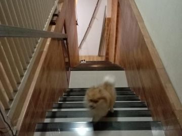 Rumah Murah Di Pinggir Jalan Bisa Usaha dan Tempat tinggal di Duta Harapan Bekasi