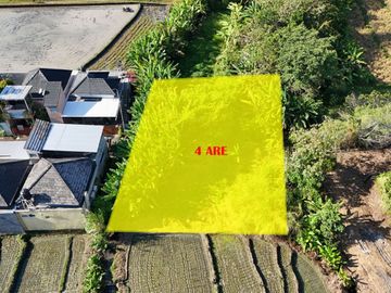 DIJUAL TANAH 4 ARE DI KEBILBIL KEDIRI TABANAN, BALI