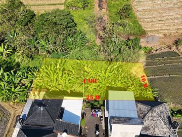 DIJUAL TANAH 4 ARE DI KEBILBIL KEDIRI TABANAN, BALI