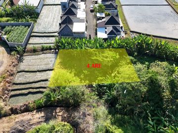 DIJUAL TANAH 4 ARE DI KEBILBIL KEDIRI TABANAN, BALI