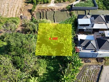 DIJUAL TANAH 4 ARE DI KEBILBIL KEDIRI TABANAN, BALI