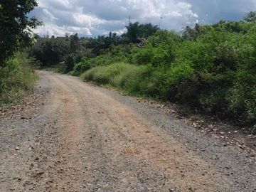 tanah jual 25 ha kilo 24 bisa extend hingga 100 ha
