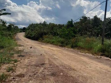 tanah jual 25 ha kilo 24 bisa extend hingga 100 ha