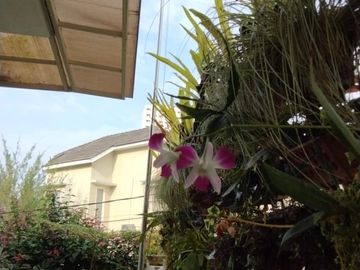 Rumah Modern 2 Lantai Grand Mahabharata Malang.MLG00137