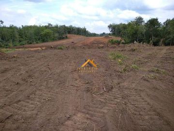 Dijual Lahan Pengembangan Desa Koto Tinggi Kabupaten Rokan Hulu - Riau