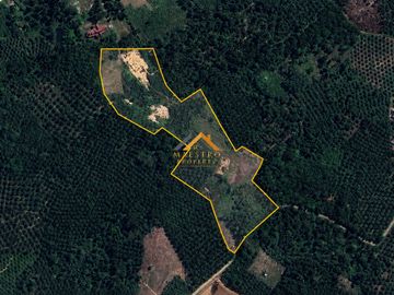 Dijual Lahan Pengembangan Desa Koto Tinggi Kabupaten Rokan Hulu - Riau