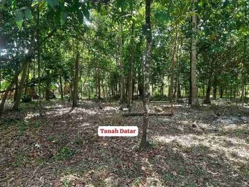 Tanah Ideal Murah Daerah Wates Kulonprogo di dekat Bandara YIA