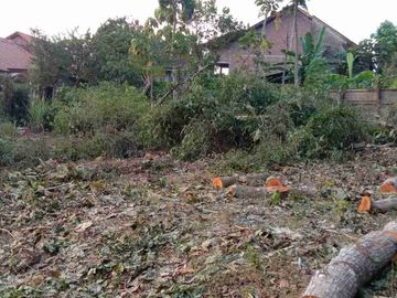 tanah murah cocok untuk investasi di patemon